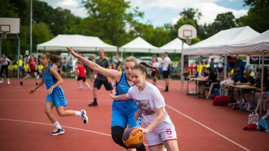 img_Szortak_az_oroszlanos_kosarakat-2