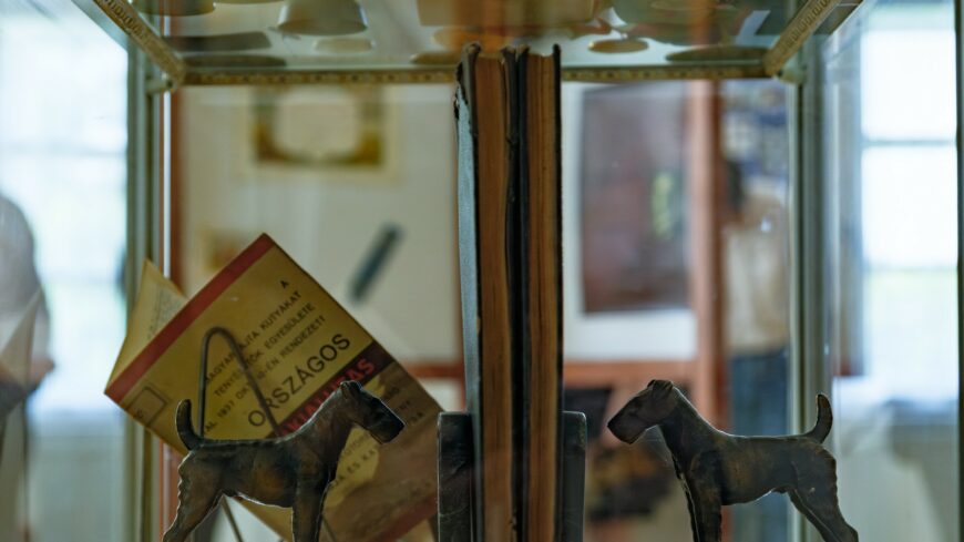 img_Magyar_kutyafajtakat_bemutato_kiallitast_rendez_a_Szent_Istvan_Kiraly_Muzeum_New_Yorkban-2