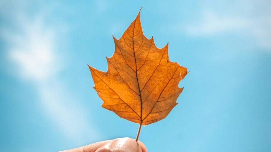 img_A_nyolcadik_legmelegebb_volt_az_idei_szeptember-3