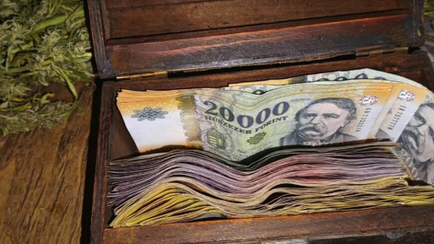 img_Anya_es_fia_egyutt_termesztette_a_cannabist-1