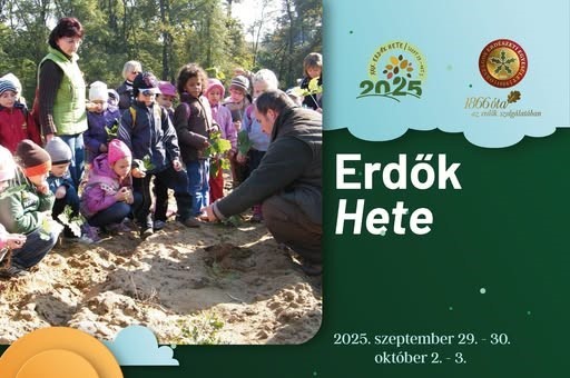 img_Erdok_Hete__Miskolcon_is_varjak_az_erdeklodoket