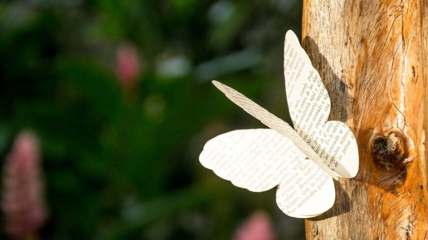 img_Fennallasanak_huszadik_evfordulojat_unnepli_a_Versunnep_Alapitvany-1