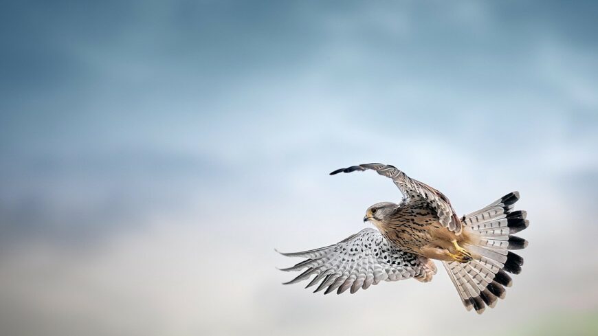 img_erdemes_kemlelni_az_eget_vasarnap_is-2