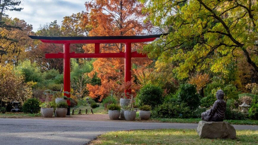 img_A_momiji_alkalmabol_varjak_a_latogatokat_a_szegedi_fuveszkertben