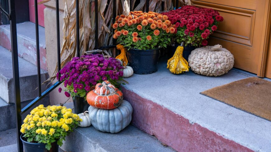 img_Ellenorzessorozat_indul_az_unnepek_idejen