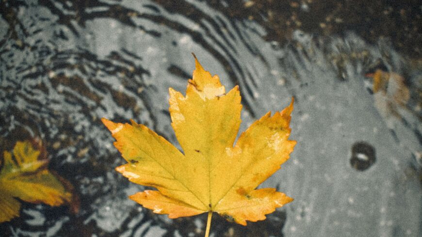 img_Esovel_es_lehulessel_kezdodik_november_elso_hete__majd_szaraz__nyugodt_ido_varhato-1