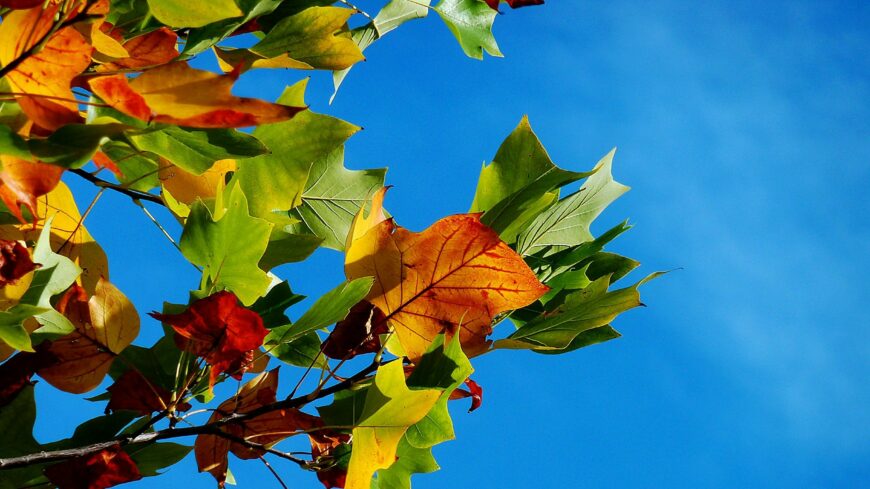 img_Halottak_napja__enyhe_ido_varhato_az_elso_novemberi_hetvegen-2