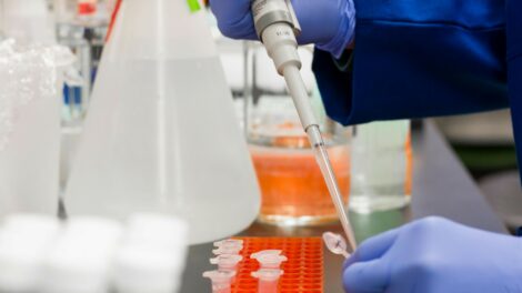 Mérsékelt állományban a koronavírus örökítőanyagának koncentrációja