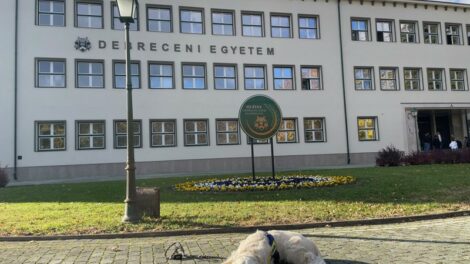 Terápiás kutya segíti a hallgatókat a Debreceni Egyetemen