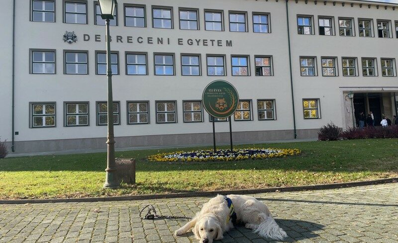 img_Terapias_kutya_segiti_a_hallgatokat_a_Debreceni_Egyetemen