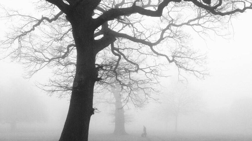 img_A_hetvegen_is_enyhe__de_borult_ido_varhato-3