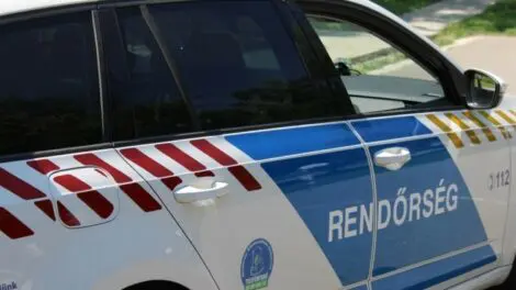 Letartóztatásban a holtra vert férfi támadója