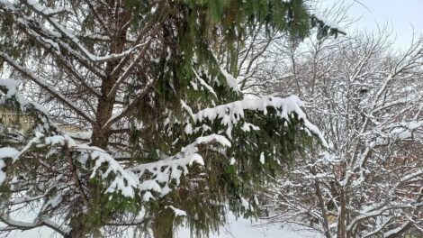 Extrém hideg az egész országban, térségünkben -15 fok van