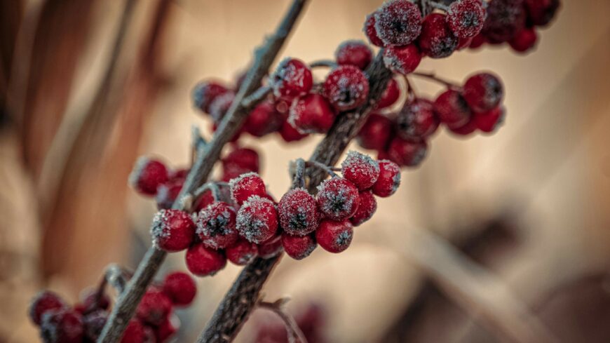 img_Hidegfront_terheli_a_szervezetunket-2