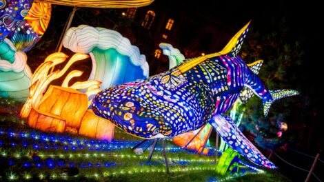 Izgalmas hétvégére készül a Fővárosi Állatkert