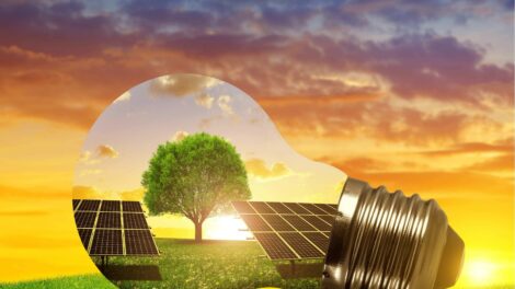 Magyarország Európa csúcsa a napenergia hasznosításában 2025-ben