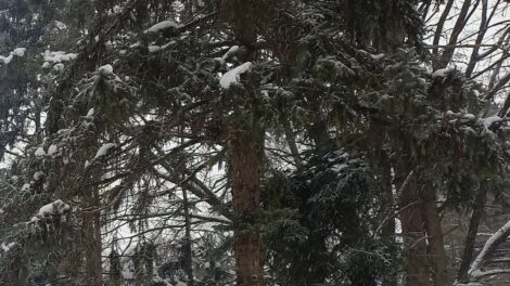 Napközben már a plusz tartományban mozoghat a hőmérséklet