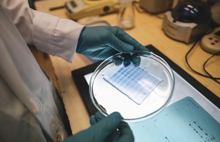 img_Szabadalmak_es_uj_terapiak_Pecsrol