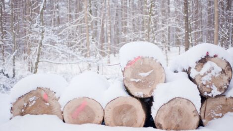 Zord hideggel és havazással indul 2026