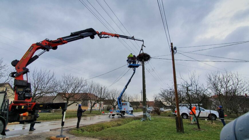 img_Iden_mar_3300_feszek_varja_a_golyakat