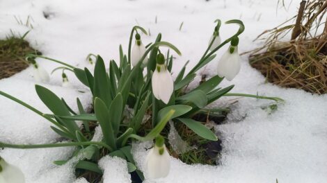 Jön az enyhülés, záporra, zivatarra számíthatunk