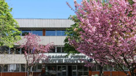 Utófarsangot tartanak a gyermekeknek február utolsó napján