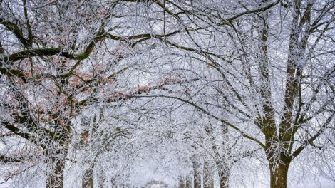Változékony, szeles idő köszönt ránk