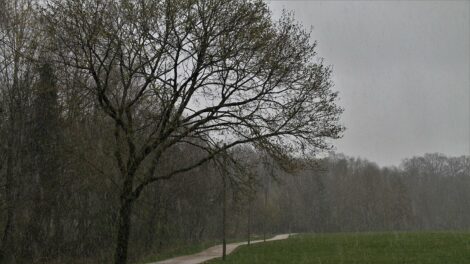 Vasárnapra egy hidegbetörés miatt bő 10 fokkal esik vissza a hőmérséklet