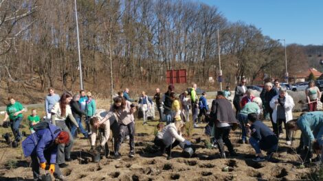 A Bükk kapujában létrehozták Miskolc első Miyawaki-minierdejét