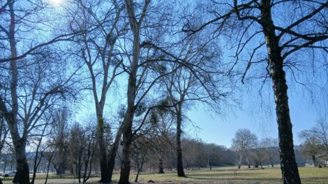 Fátyolfelhők szűrik a napfényt kedden térségünkben