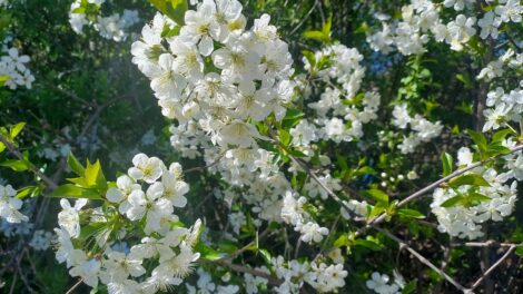 A hét második felére még a tél is visszatérhet