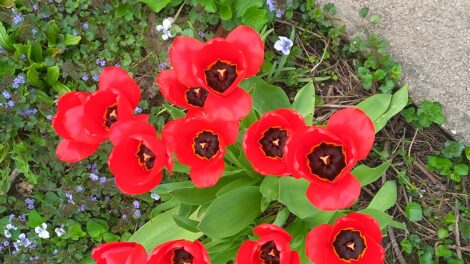 A következő napokban lehűlésre kell számítani