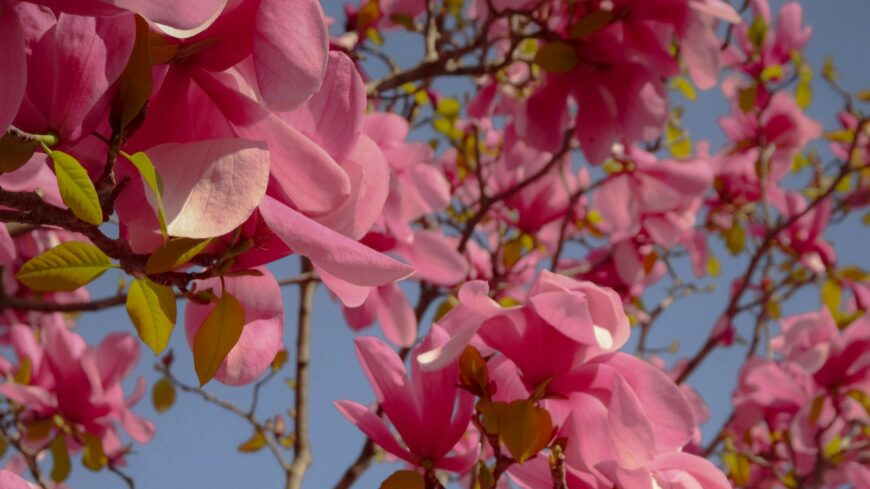 img_Ez_volt_a_nyolcadik_legmelegebb_marcius