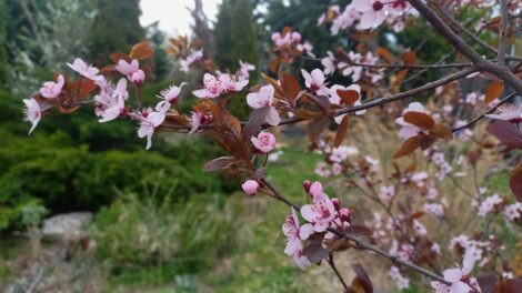 Fokozatosan melegszik az idő, a húsvét már naposabb lesz