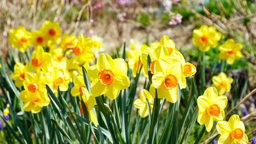 img_Napos__csapadekmentes_lehet_a_szombat