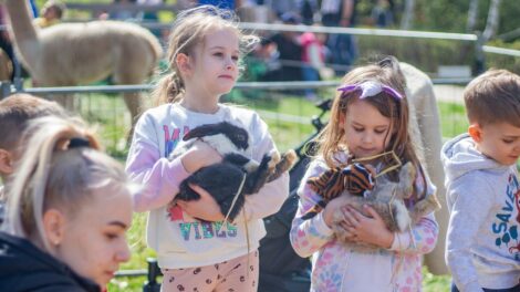 Nyuszisimogató és húsvéti élmény nap Miskolcon, a Baráthegyen