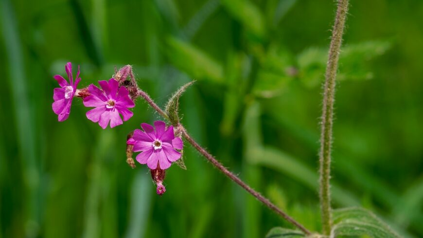 img_Szeles__de_napos_idonk_lesz