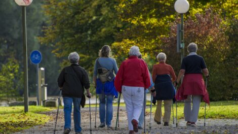 26 helyszínen várja az érdeklődőket a Botra fel!