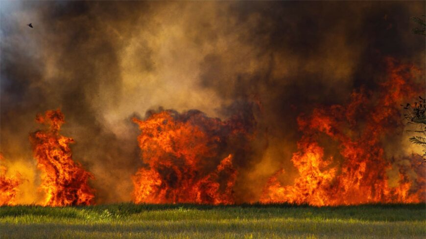 img_Haromszor_oltottak_langolo_novenyzetet_a_tuzoltok