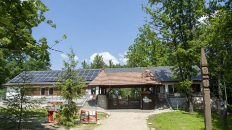 43. születésnapját ünnepli a Miskolci Állatkert